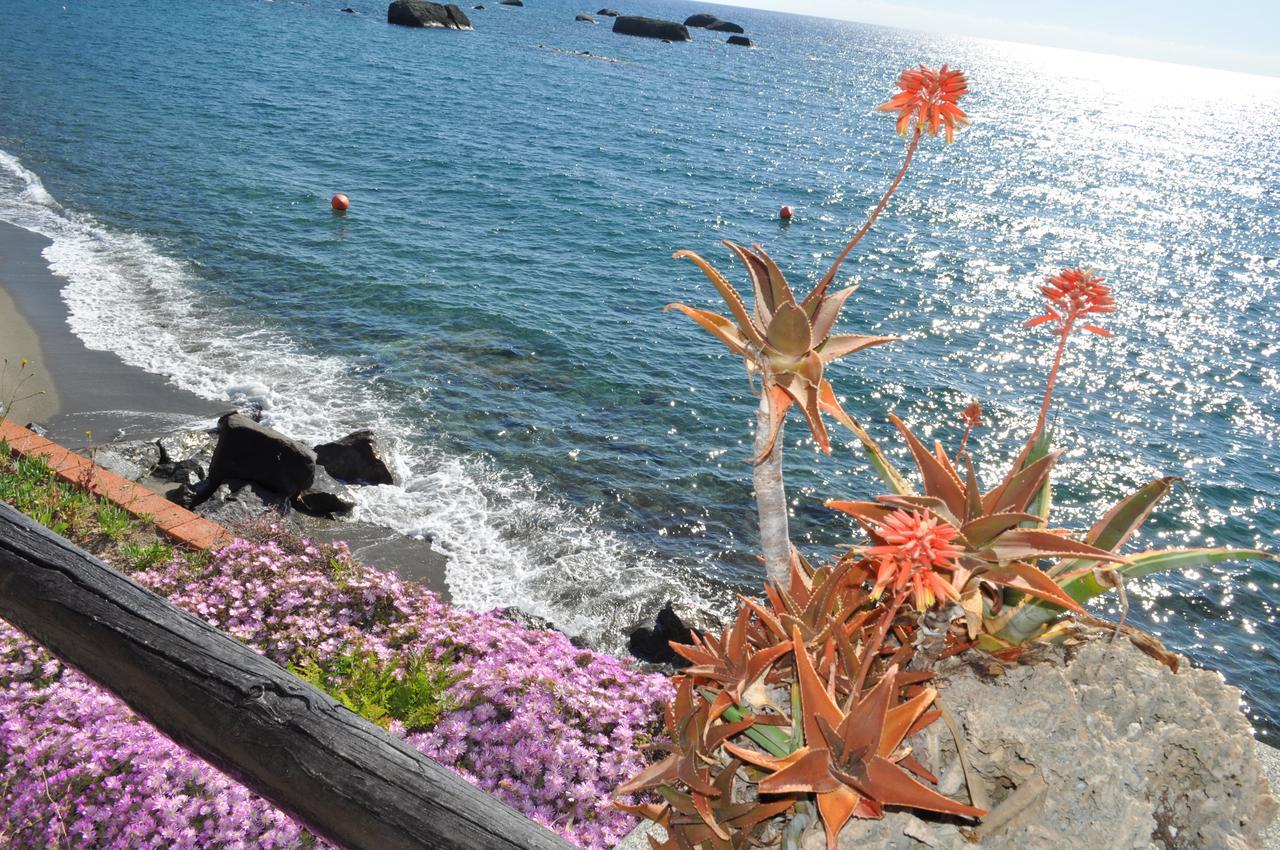 La Citarea Bed & Breakfast Forio  Ngoại thất bức ảnh